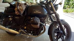 Moto Guzzi V7 II Stone (2015 - 17) 