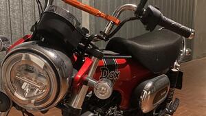 Honda Dax 125 (2023 - 24) 
