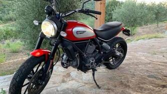 Ducati Scrambler 800 Icon (2015 - 16) usata