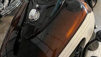 Harley-Davidson 1584 Cross Bones (2008 - 11) - FLSTSB