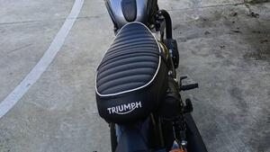 Triumph Bonneville T120 (2021 - 25) 