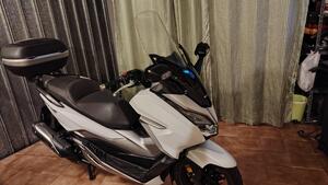 Honda Forza 300 Deluxe ABS (2018 - 20) 