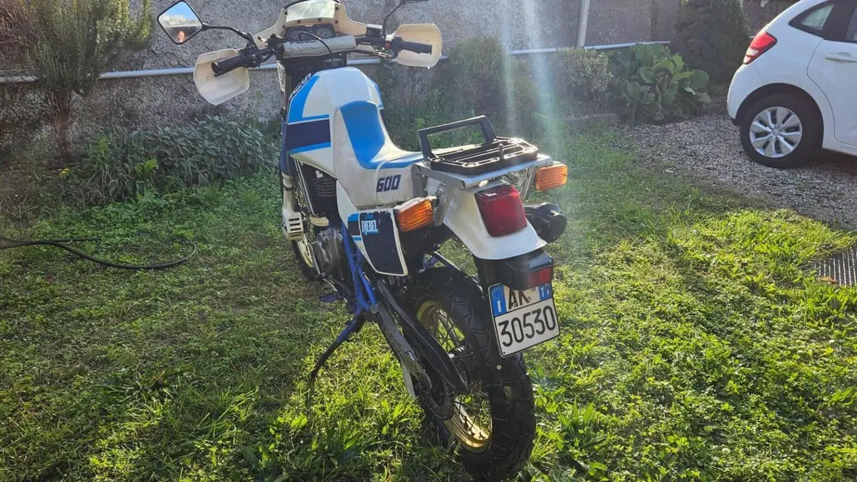 Suzuki   (3)