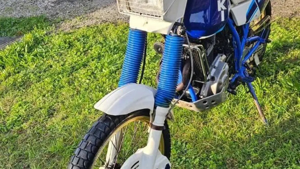 Suzuki   (5)
