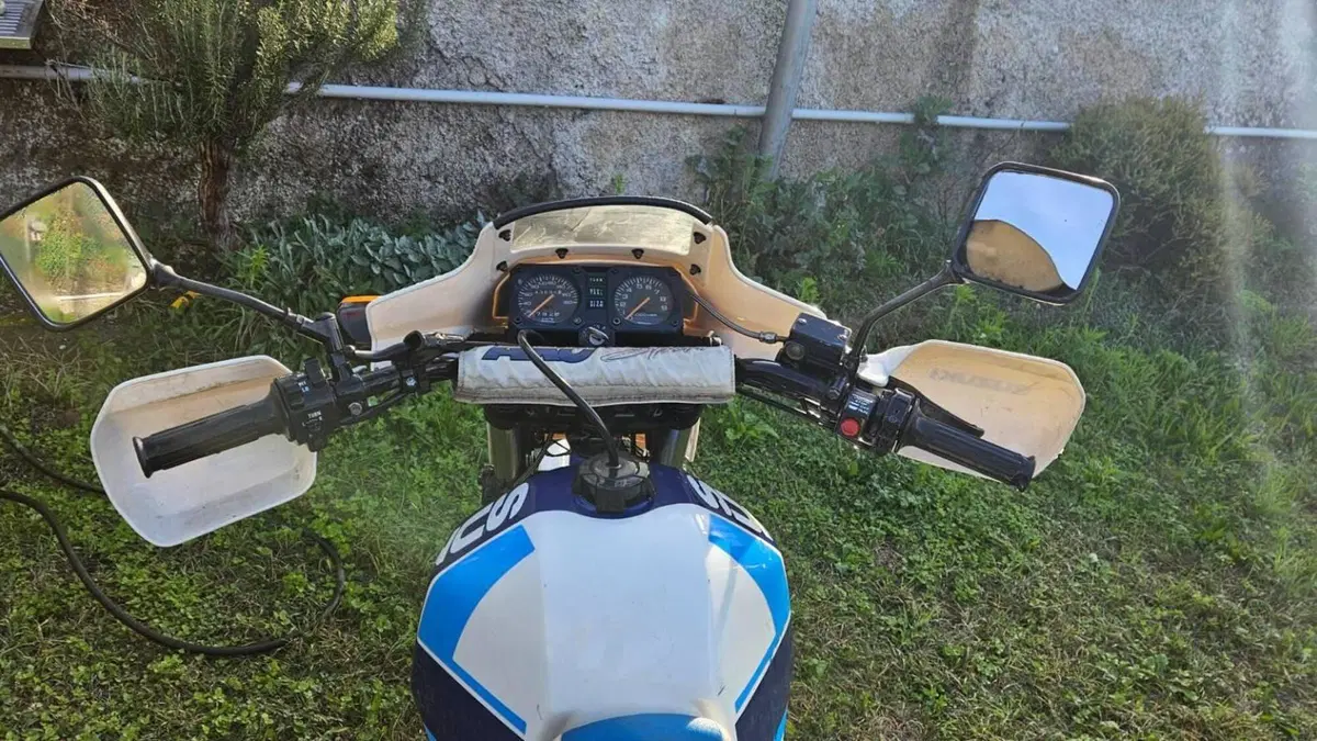 Suzuki   (6)