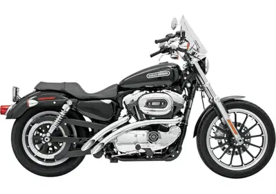 Scarico Bassani Radial Sweepers per Sportster dal  - Annuncio 8547486