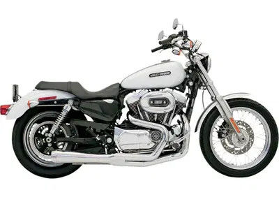 Scarico Bassani 2 in 1 Road Rage per Sportster dal  - Annuncio 8547501