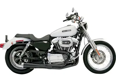 Scarico Bassani 2 in 1 Road Rage per Sportster dal  - Annuncio 8547502