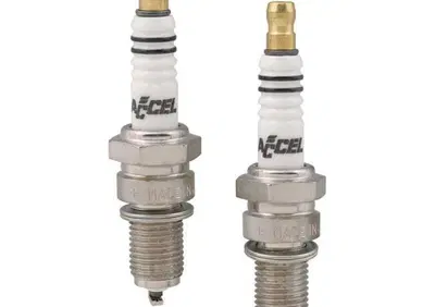 Can - Annuncio 8549816