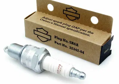 Can - Annuncio 8549835