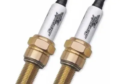 Coppia can - Annuncio 9099175