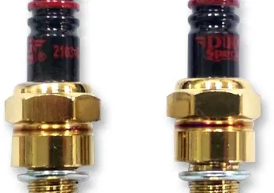 Can - Annuncio 9194256