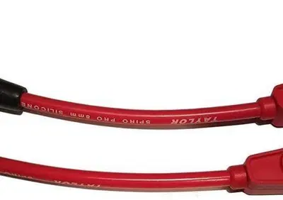 Cavi can - Annuncio 8549868