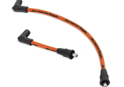 Cavi can - Annuncio 8867123