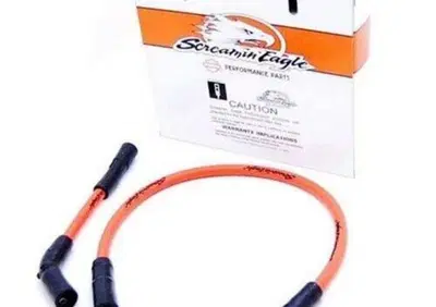 Cavi can - Annuncio 8867140