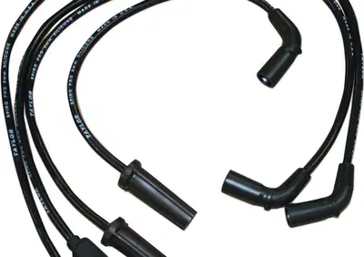 Cavi can - Annuncio 9207437