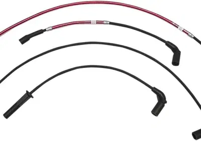 Cavi can - Annuncio 9213179