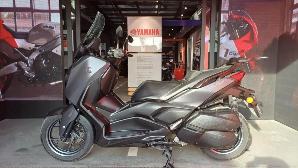 Yamaha X-Max 300 (2021 - 24)  (2)