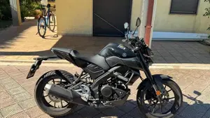 Yamaha MT-125 ABS (2020)  (2)