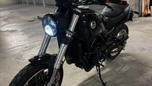 Benelli Leoncino 500 Trail (2021 - 26) 