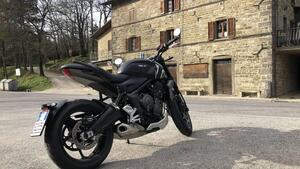 Triumph Trident 660 (2021 - 24) 