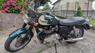 Triumph Bonneville T100 (2008 - 16) usata