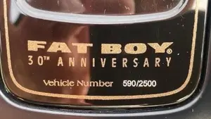 Harley-Davidson 114 Fat Boy (2018 - 20) - FLFBS  (8)