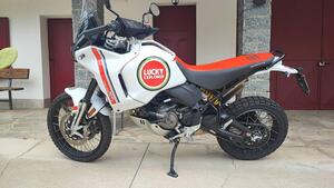 Ducati DesertX (2022 - 25) 