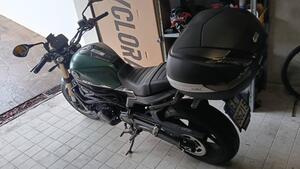 Benelli Leoncino 800 (2022 - 26) 