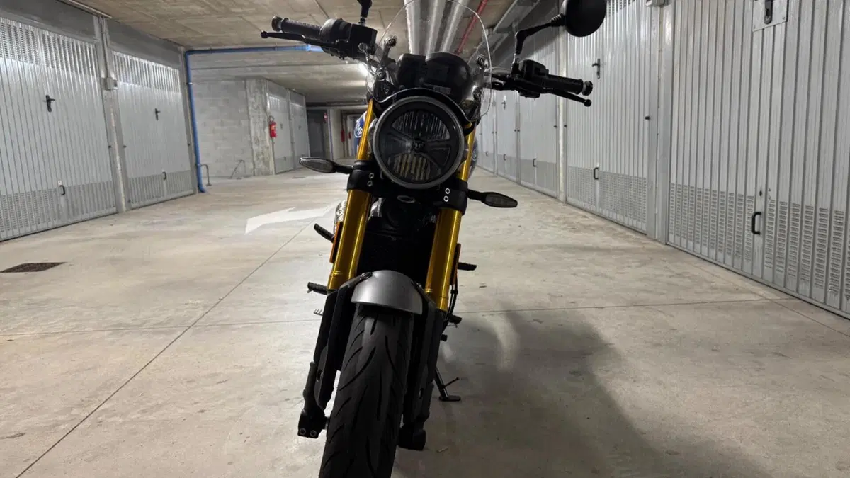 Triumph Speed 400 (2024 - 26)  (9)