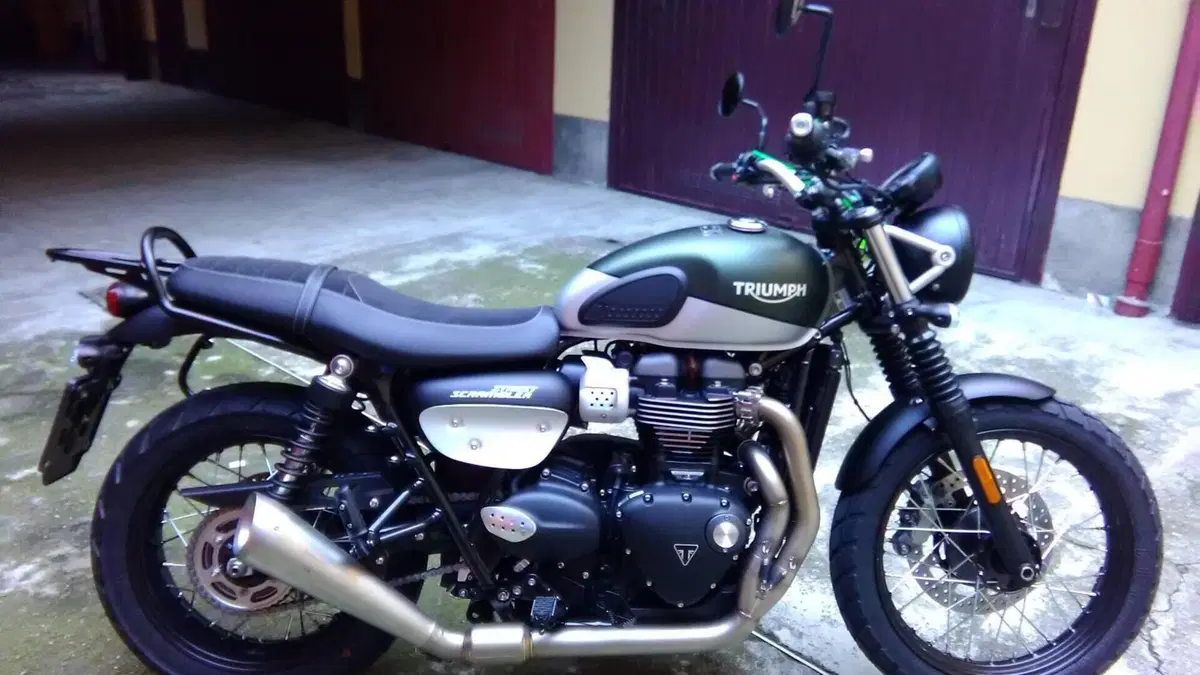 Triumph Street Scrambler 900 (2019 - 20) 