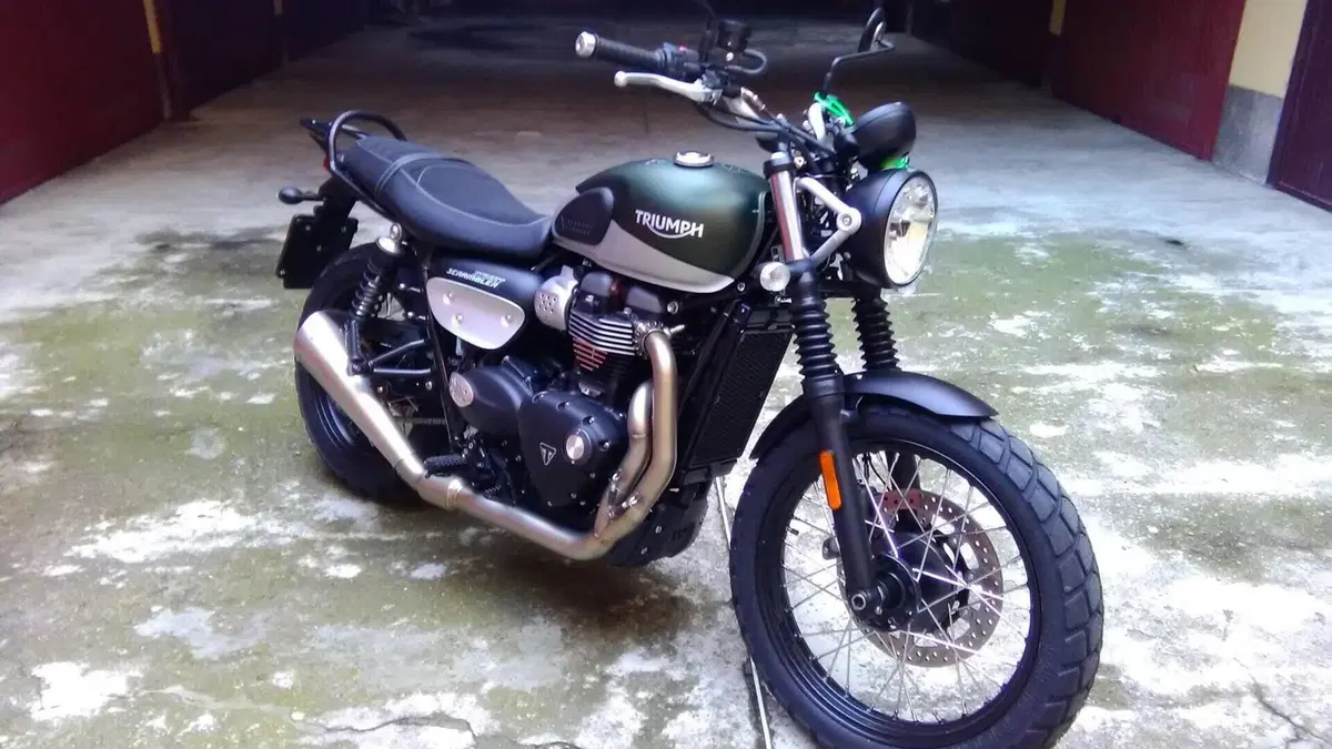 Triumph Street Scrambler 900 (2019 - 20)  (3)