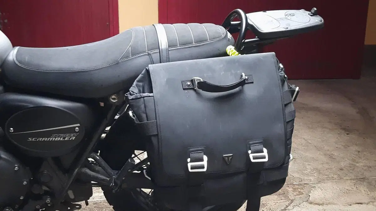 Triumph Street Scrambler 900 (2019 - 20)  (4)