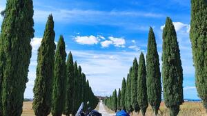 Honda CB 500 X (2019 - 20) 