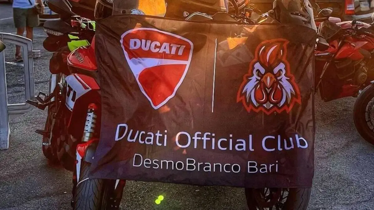 Ducati Multistrada 1260 S (2018 - 20)  (13)