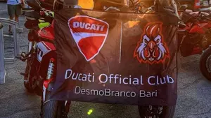 Ducati Multistrada 1260 S (2018 - 20)  (13)