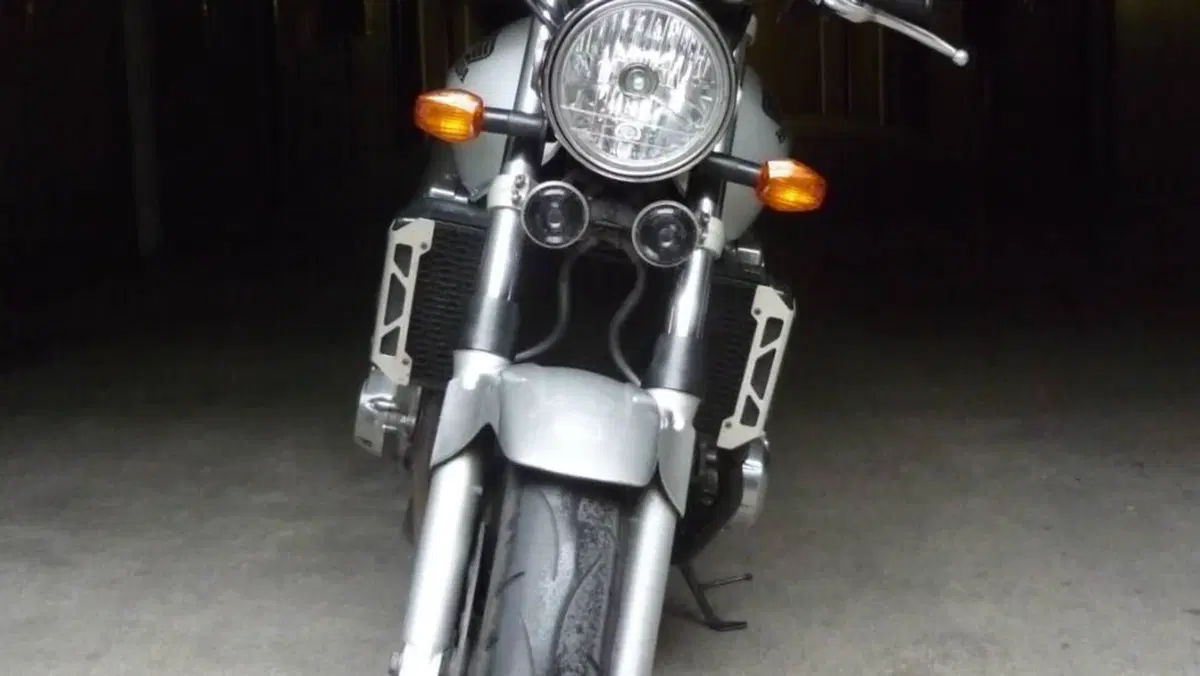 Honda CB 1300 (2003 - 06)  (5)
