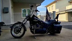 Harley-Davidson 1584 Night Train (2006 - 07) - FXSTB  (2)
