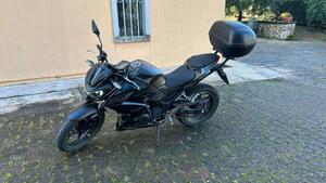 Kawasaki Z 300 ABS (2015 - 16) 