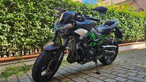 Kawasaki Z 900 (2025 - 26) 