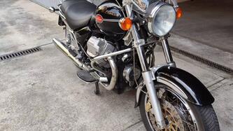 Moto Guzzi California 1100 Aquila Nera (2010 - 11) usata