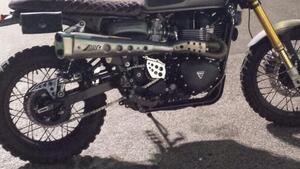 Triumph Scrambler 900 (2023 - 25) 