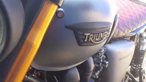 Triumph Scrambler 900 (2023 - 25)  (5)