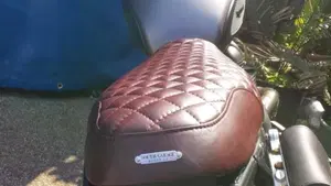 Triumph Scrambler 900 (2023 - 25)  (6)