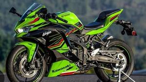 Kawasaki Ninja ZX-4RR (2024 - 26) 