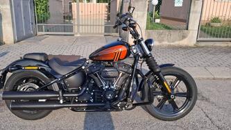 Harley-Davidson Street Bob 114 (2021 - 24) usata