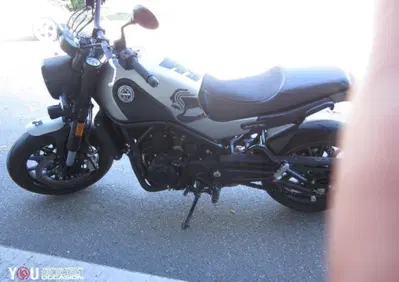 Benelli Leoncino 500 ABS (2017 - 20) - Annuncio 9923645