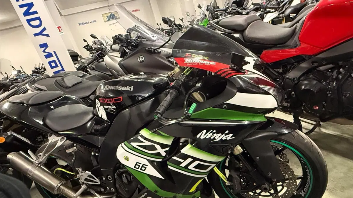 Kawasaki Ninja 1000 ZX-10R (2004 - 05)  (4)