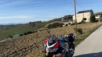 Aprilia Tuono V4 Factory (2015 - 17) usata