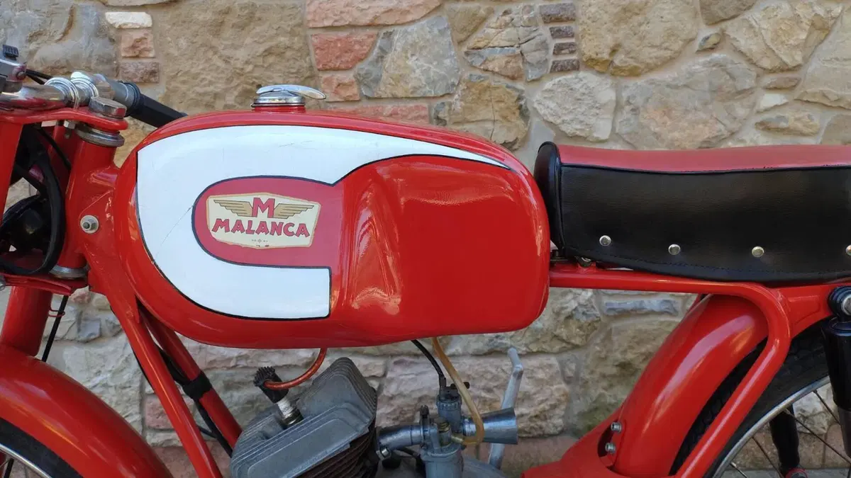 Malanca   (4)